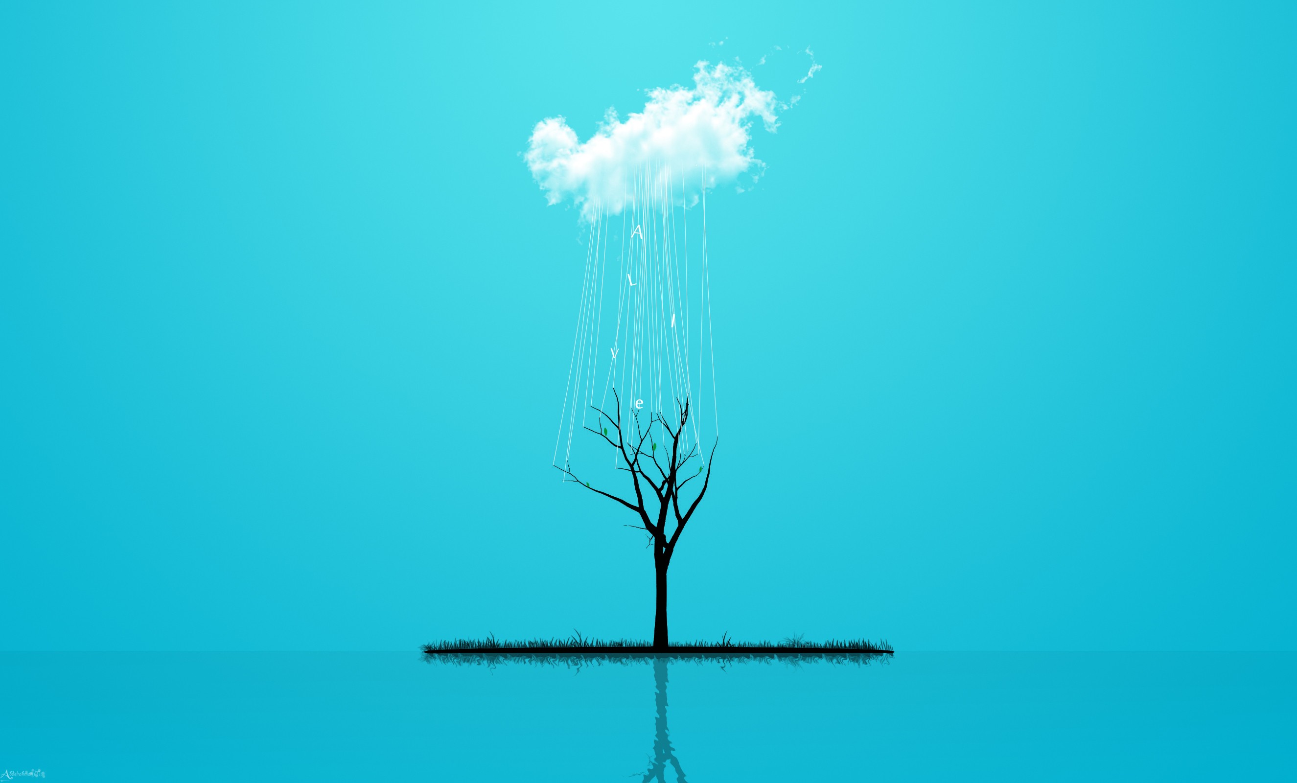tree under a cloud