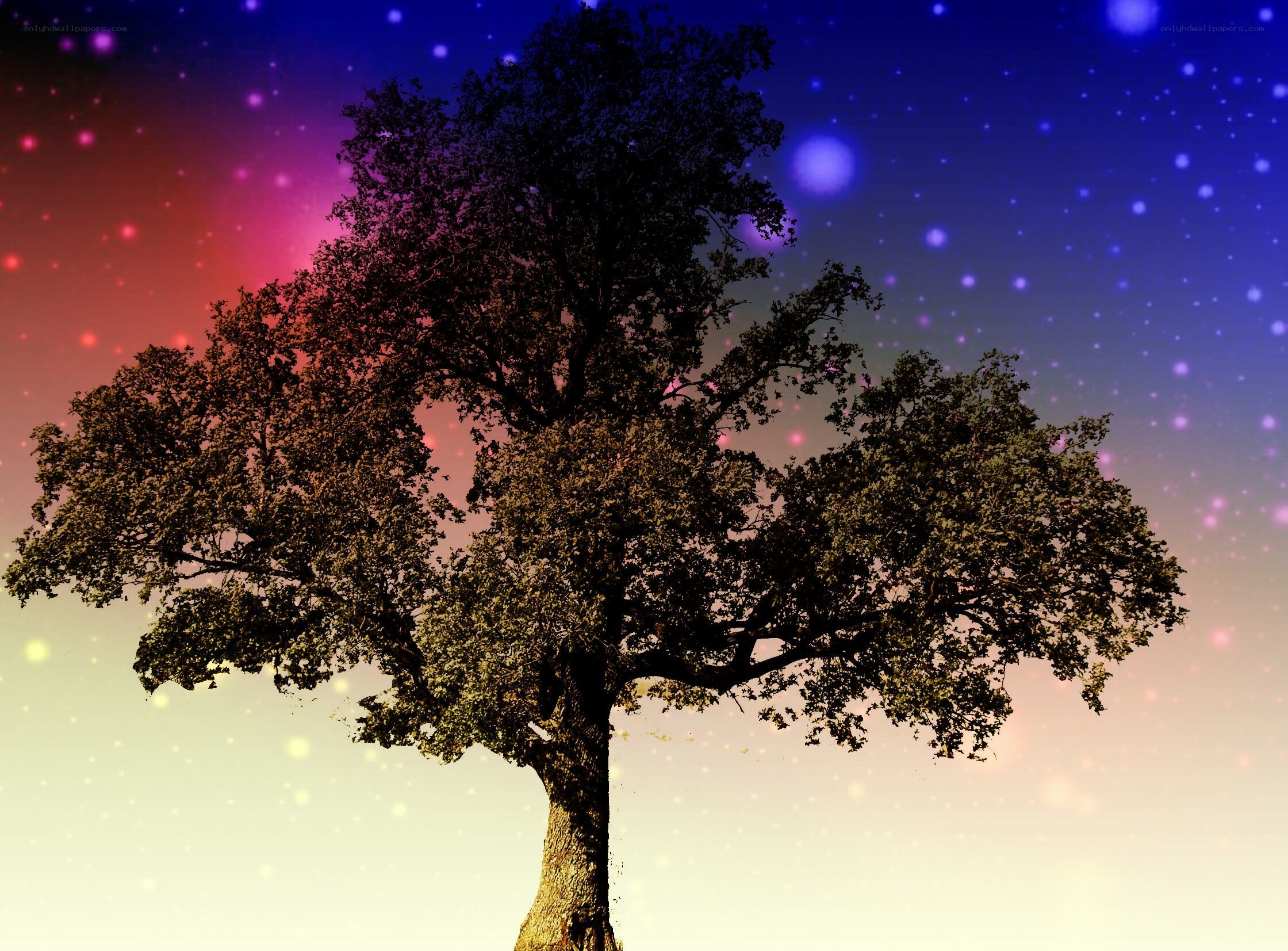 Tree under a starry sky