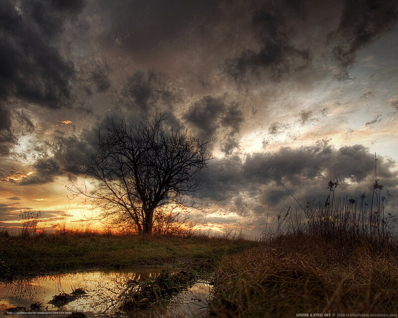 Tree Under a Stormy Sky