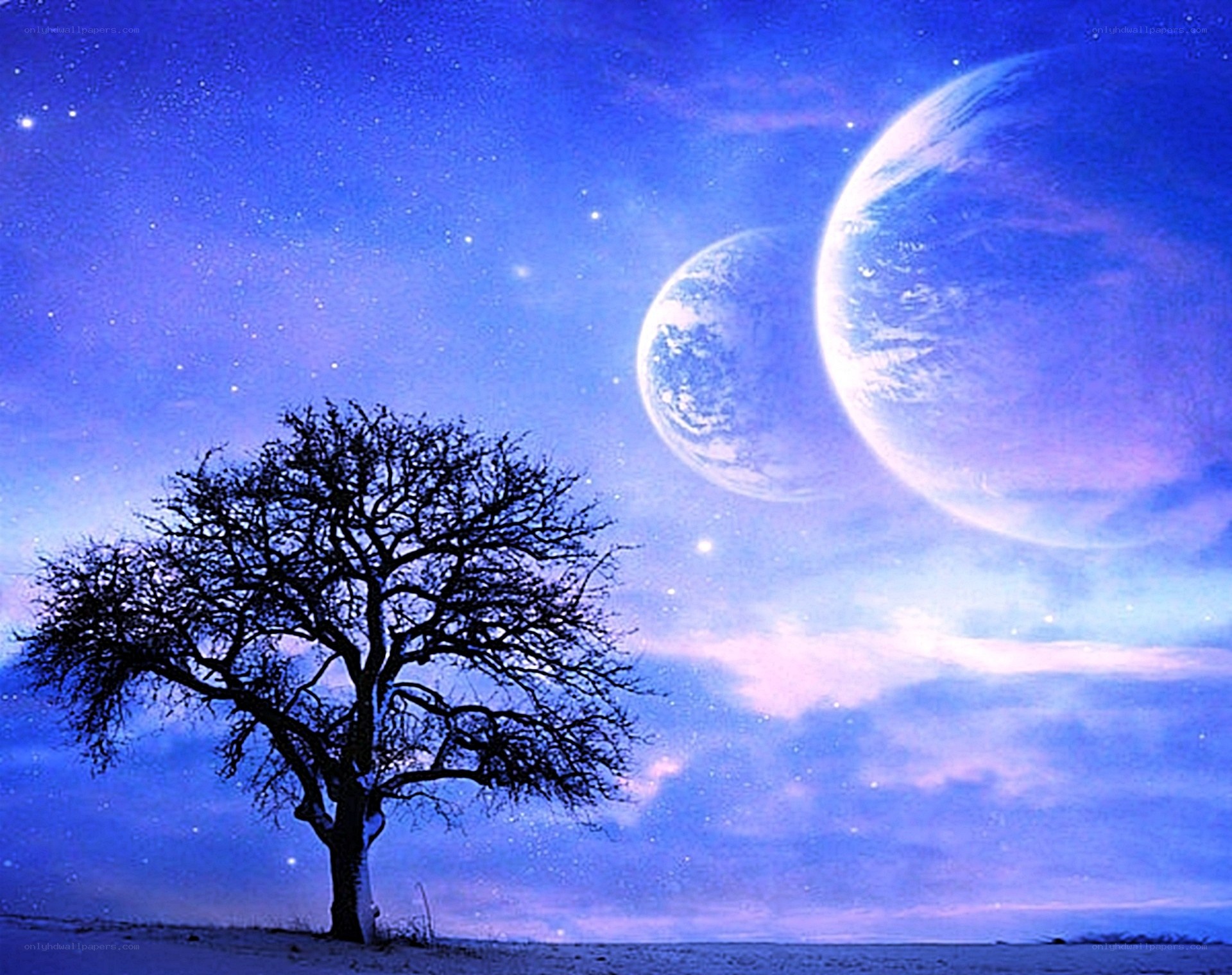 Tree under alien moons