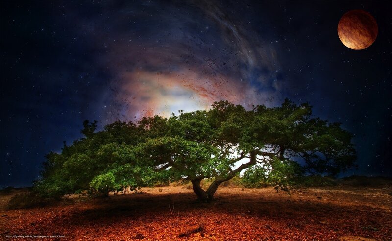 Tree under Alien Sky