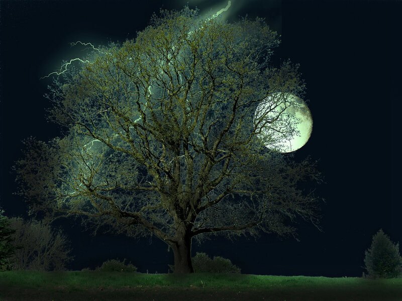 Tree under Full Moon — Green
