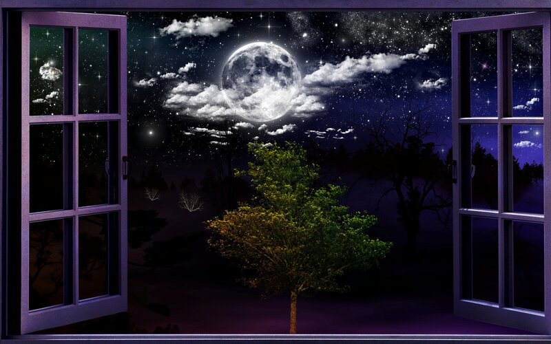 Tree under Full Moon — Purple