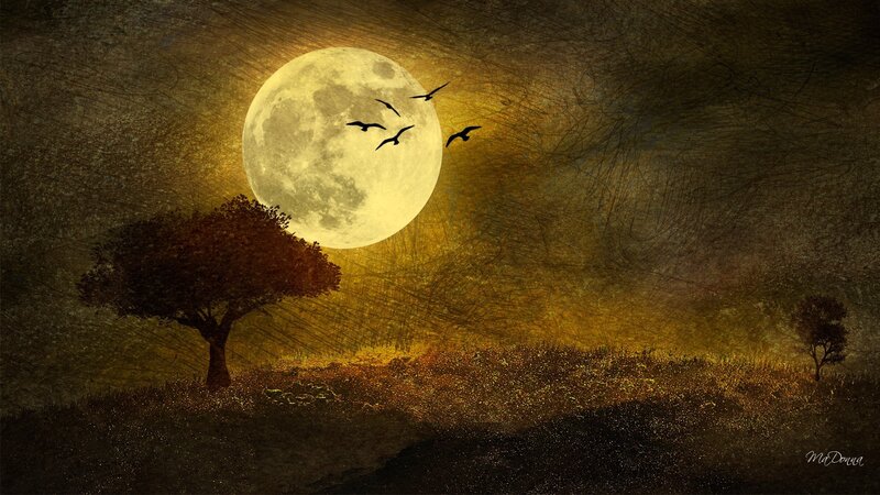 Tree under Full Moon — Yellow