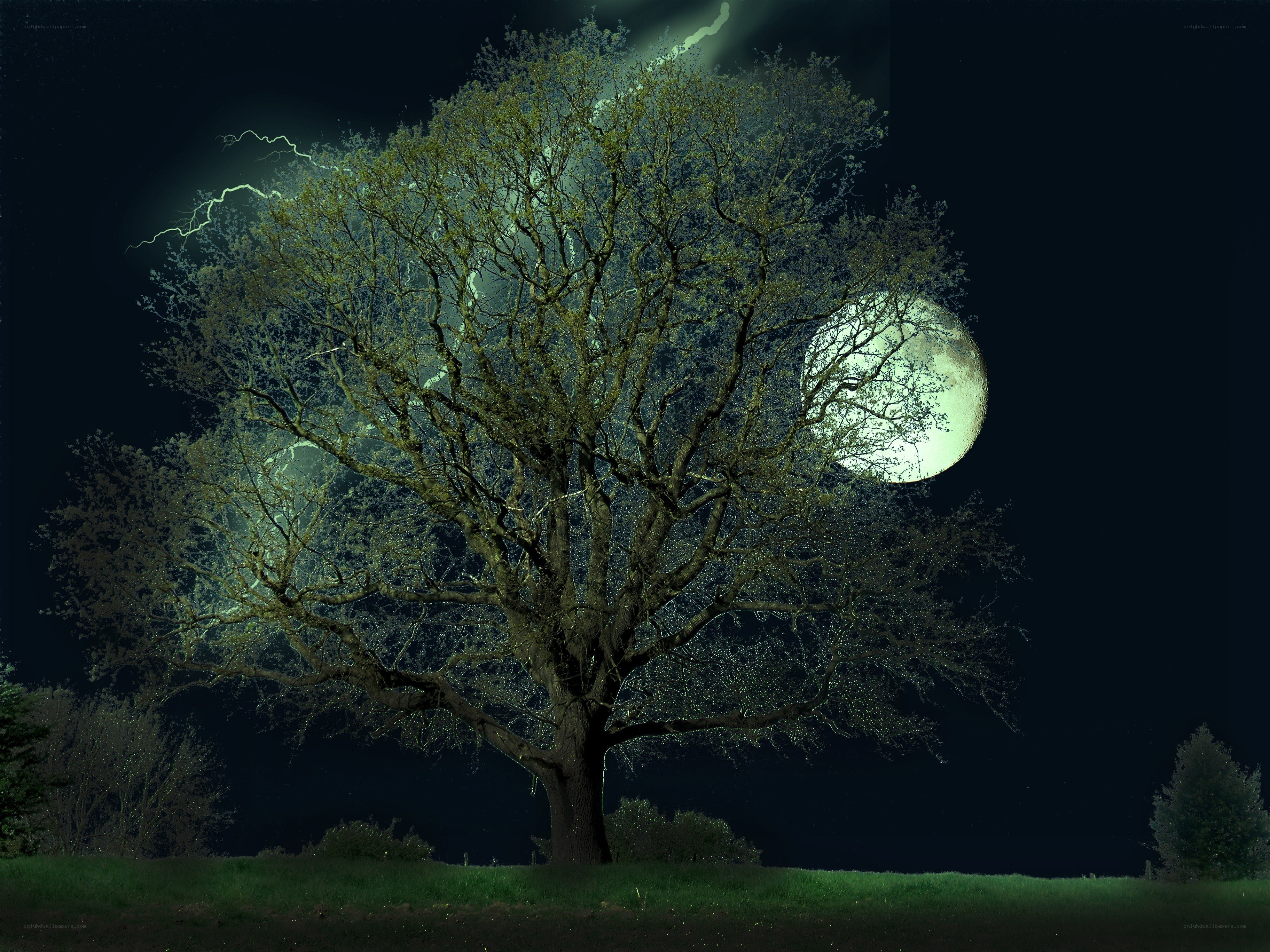 Tree under moonlight and lightning