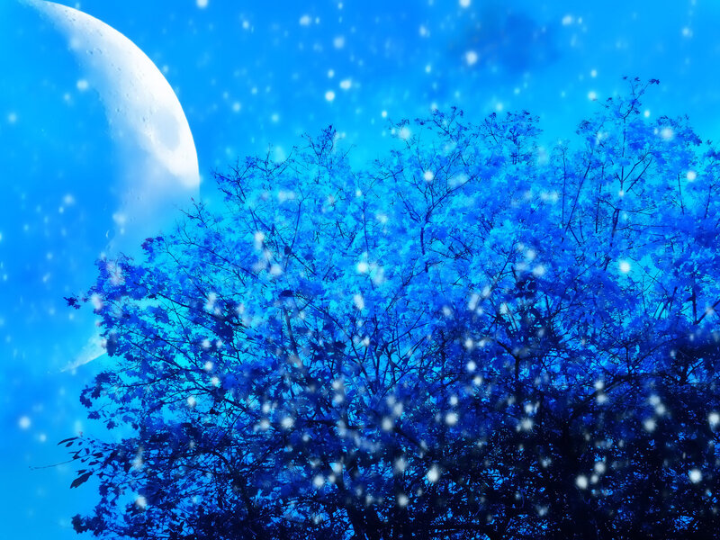 Tree under Moonlight
