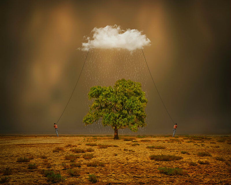 Tree under Rain Cloud