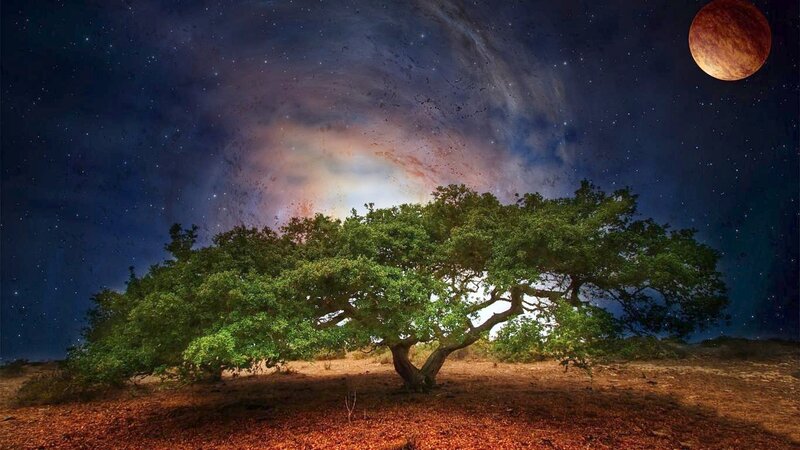 Tree under Starry Sky — Green, Dramatic, Night
