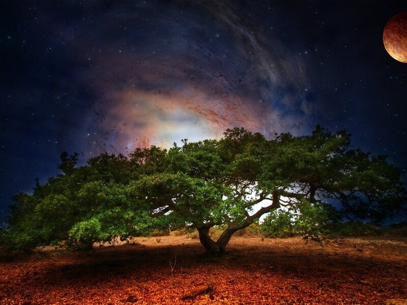 Tree under Starry Sky — Green, Dramatic