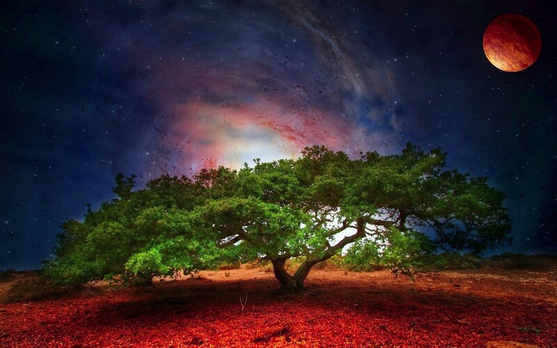 Tree under Starry Sky — Green