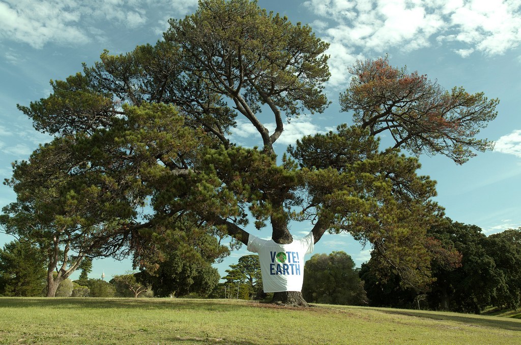 Tree wearing 'Vote Earth' shirt