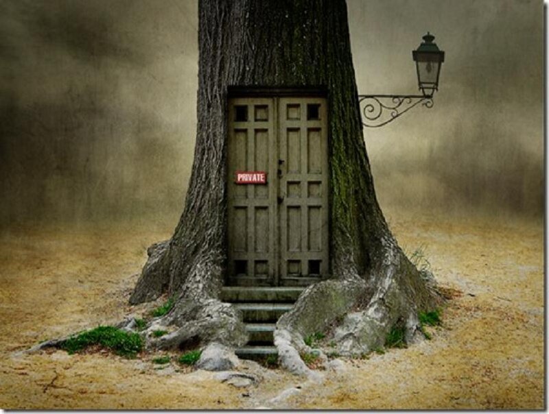 Tree with a door
