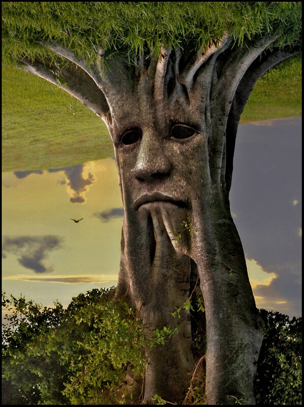 Tree with a face