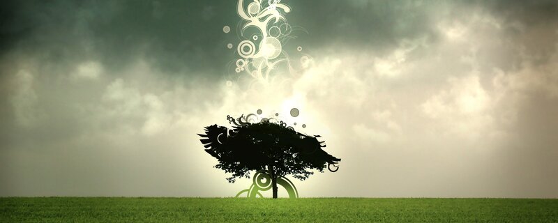 tree with abstract energy