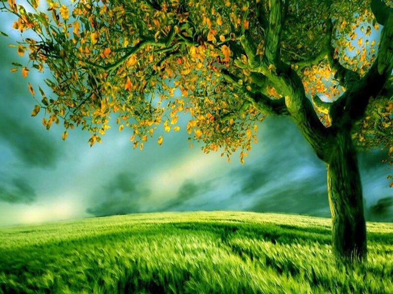 Tree with Autumn Leaves — Green, Serene, Digital Art