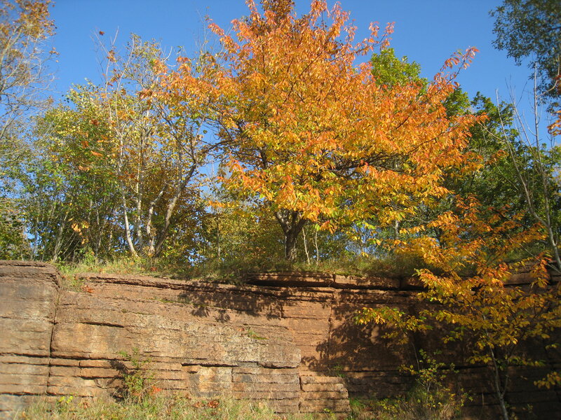 Tree with Autumn Leaves — Orange, Serene, Photograph, Trees, Cliff