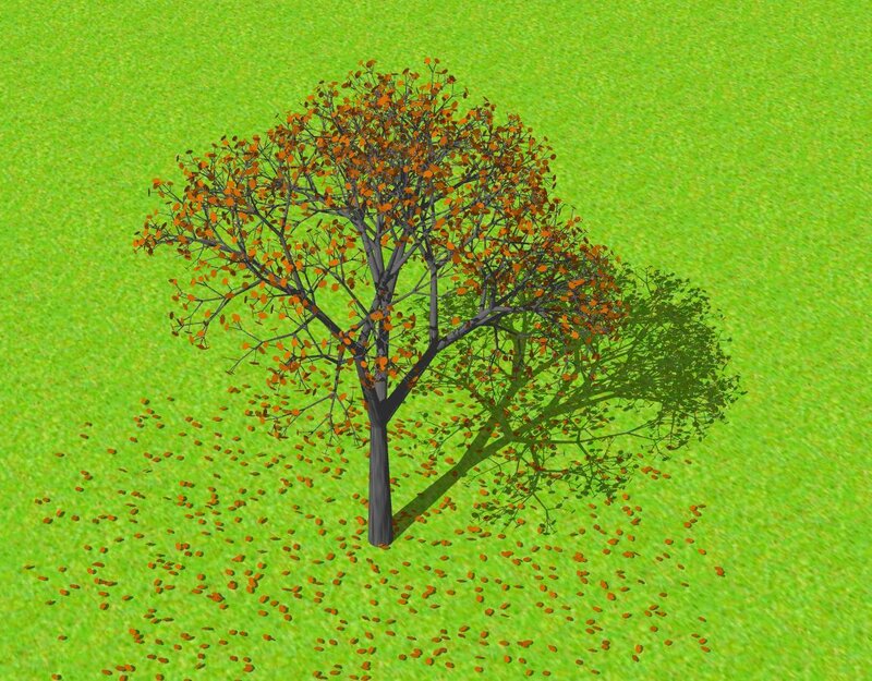 Tree with Autumn Leaves