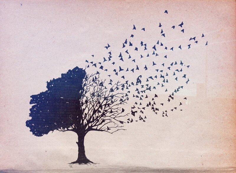 tree with birds flying away
