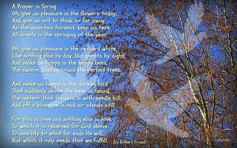 Tree with Blossoms — Blue
