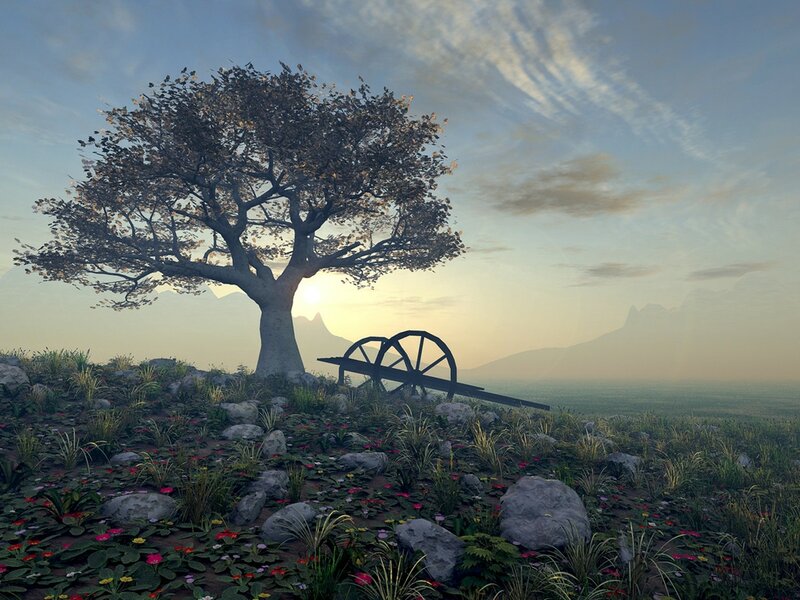 Tree with Cart Wheel