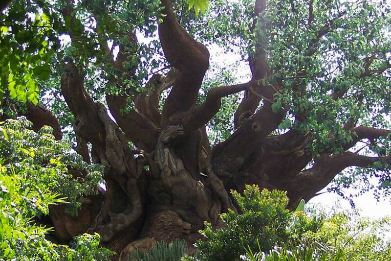Tree with Carved Animals