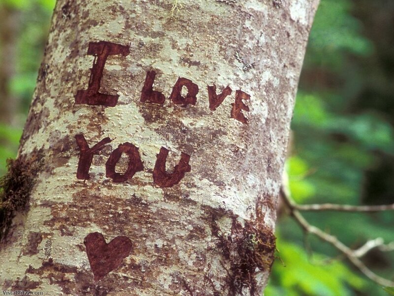 Tree with Carved Message