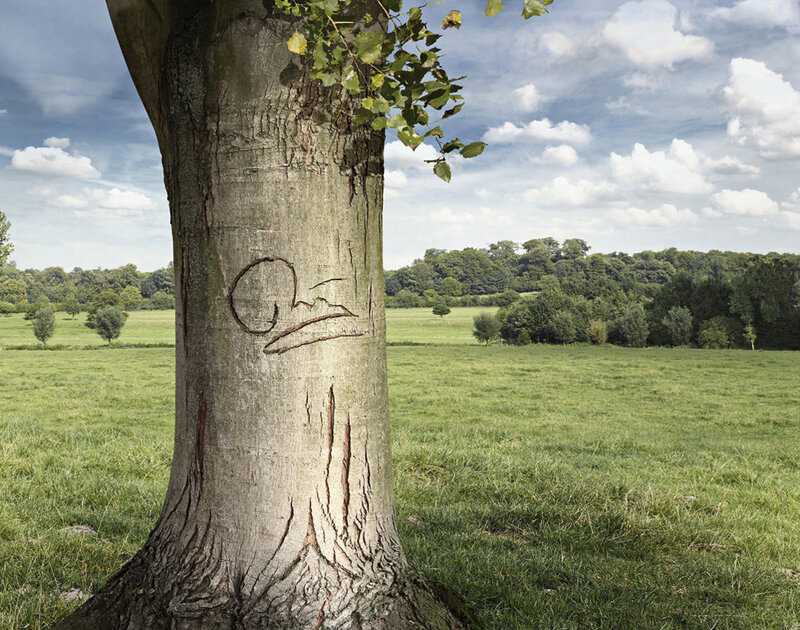 tree with carving in field
