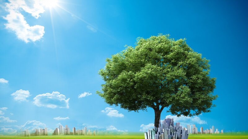 Tree with city skyline