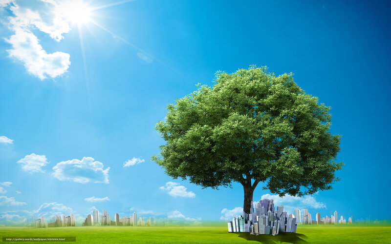 Tree with city skyline