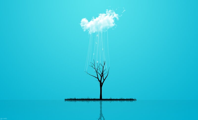 Tree with Cloud Above