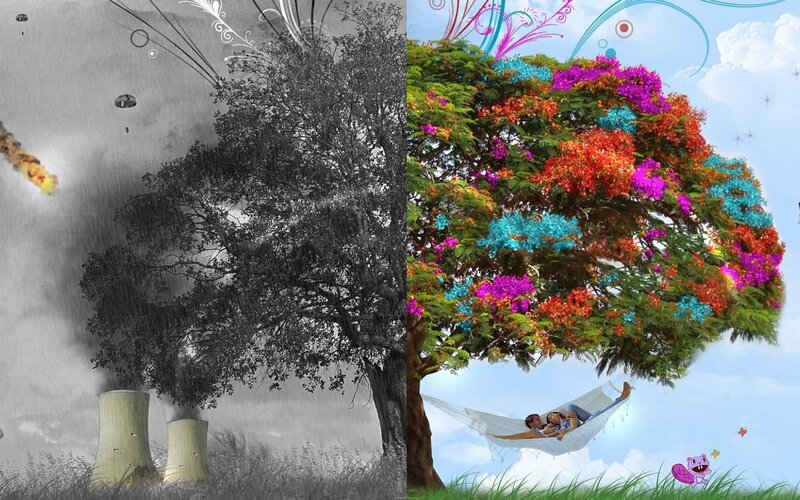 Tree with Colorful Flowers