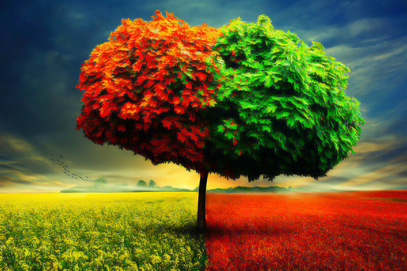 Tree with Colorful Leaves — Green