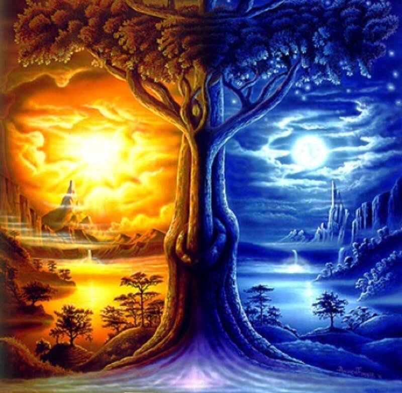 Tree with Day and Night Sides