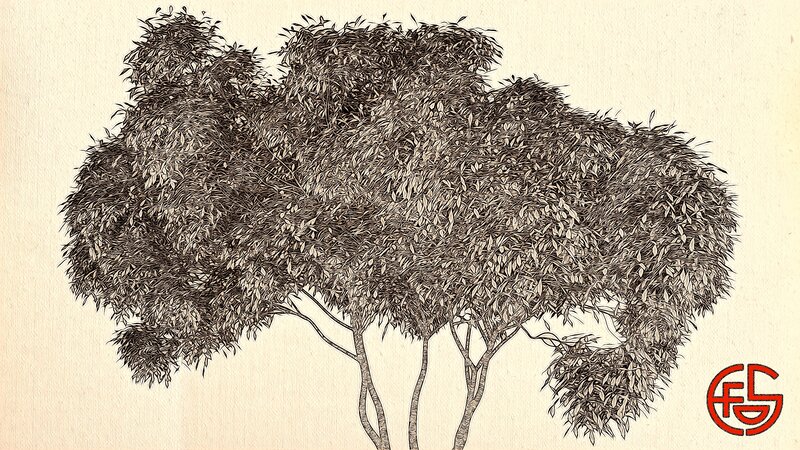 tree with dense foliage