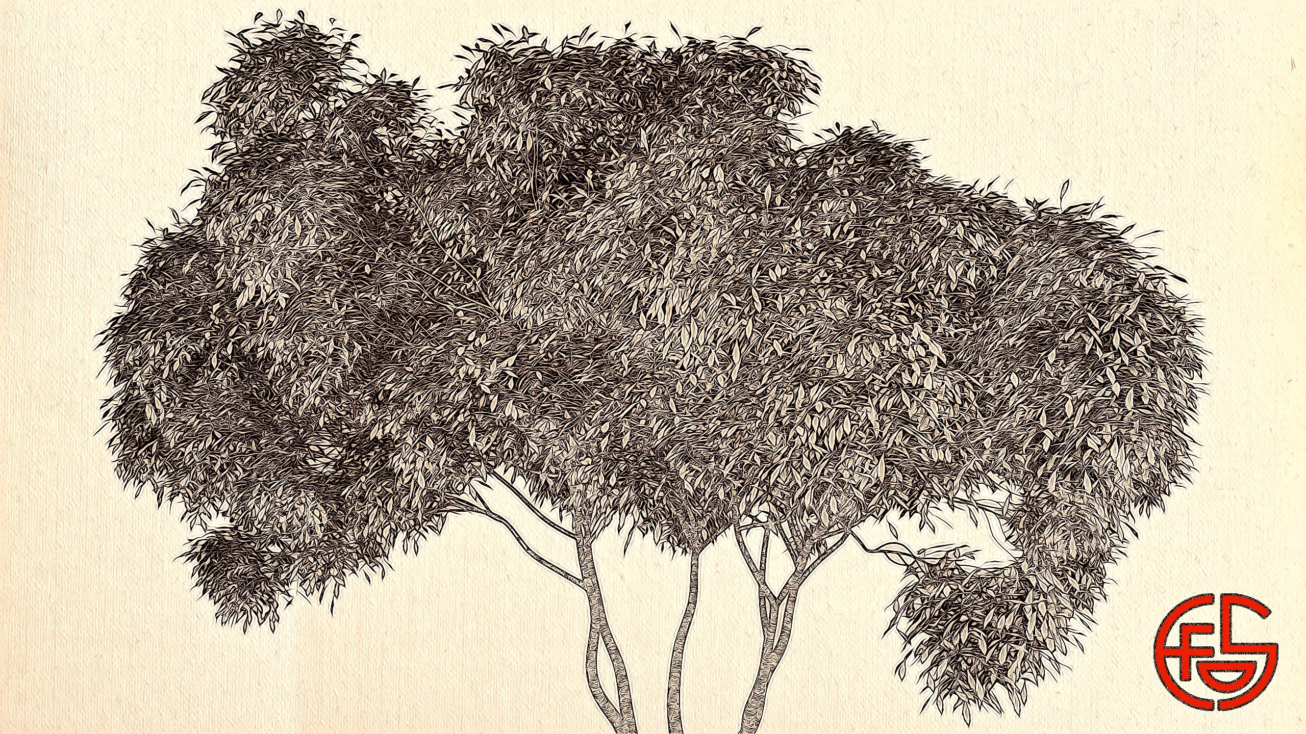tree with dense foliage