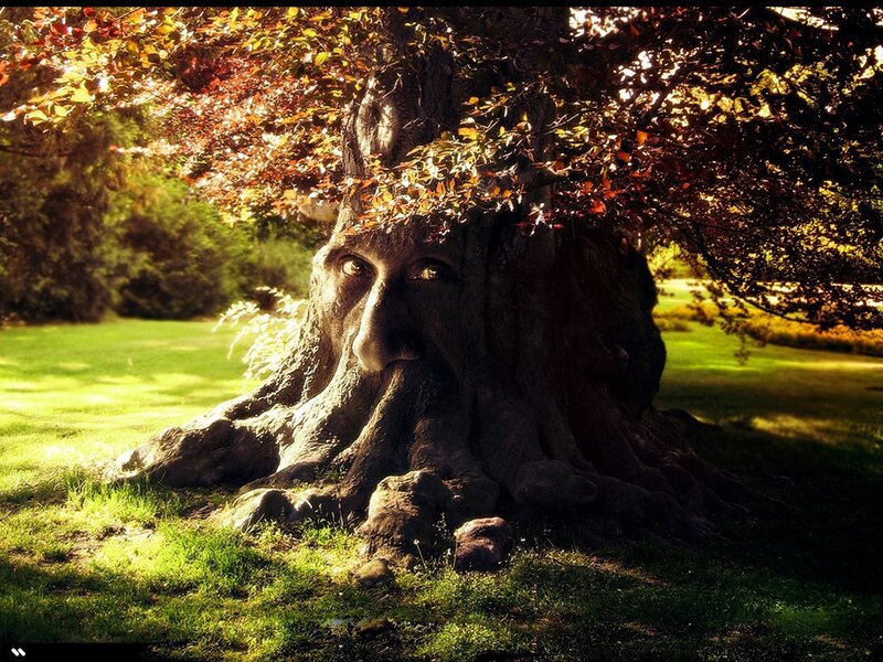 Tree with Face Carving — Green, Dramatic