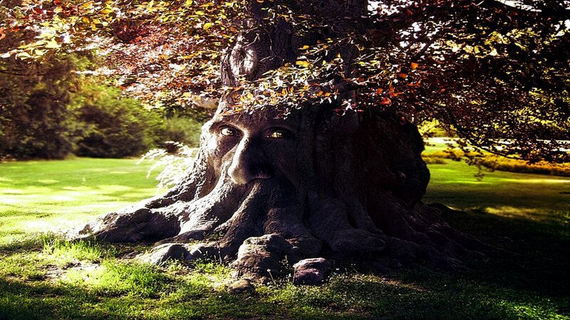 Tree with Face Carving