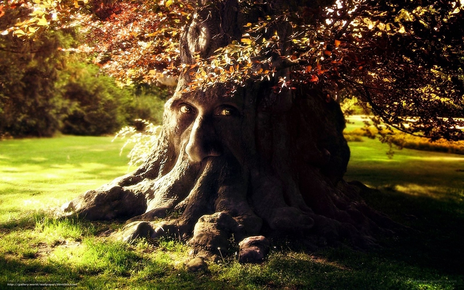 tree with face sculpture