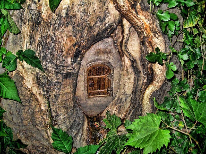 Tree with Fairy Door
