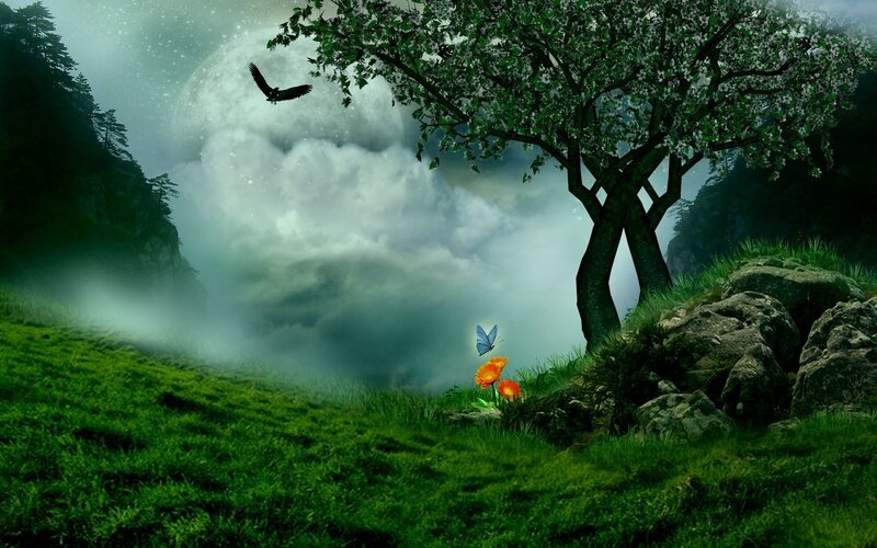 Tree with Flowers and Butterfly