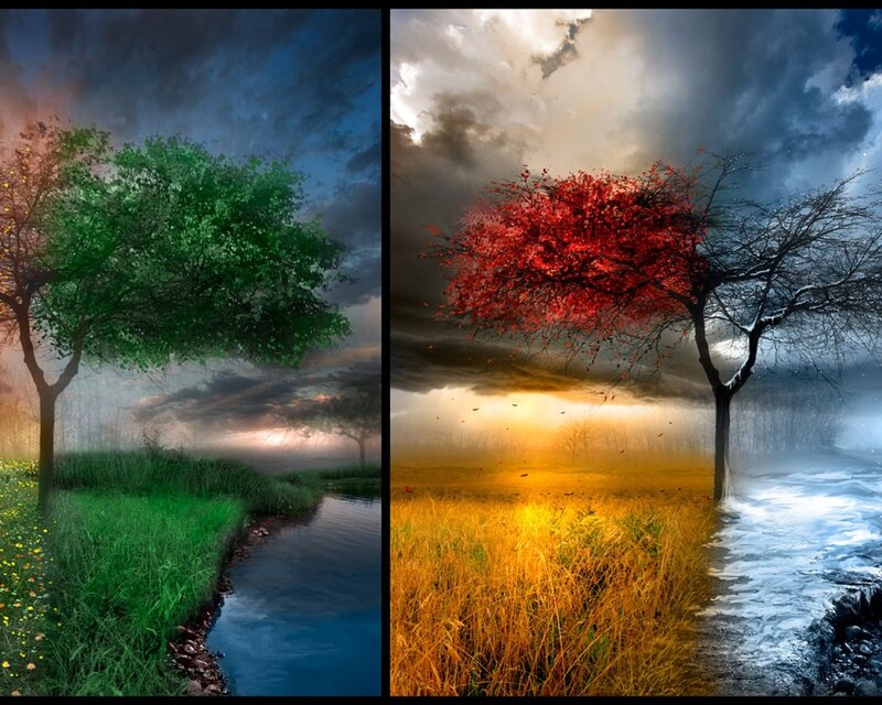 Tree with Four Seasons — Green, Dramatic, Autumn, Digital Art