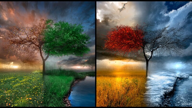 Tree with Four Seasons — Green, Dramatic, Autumn