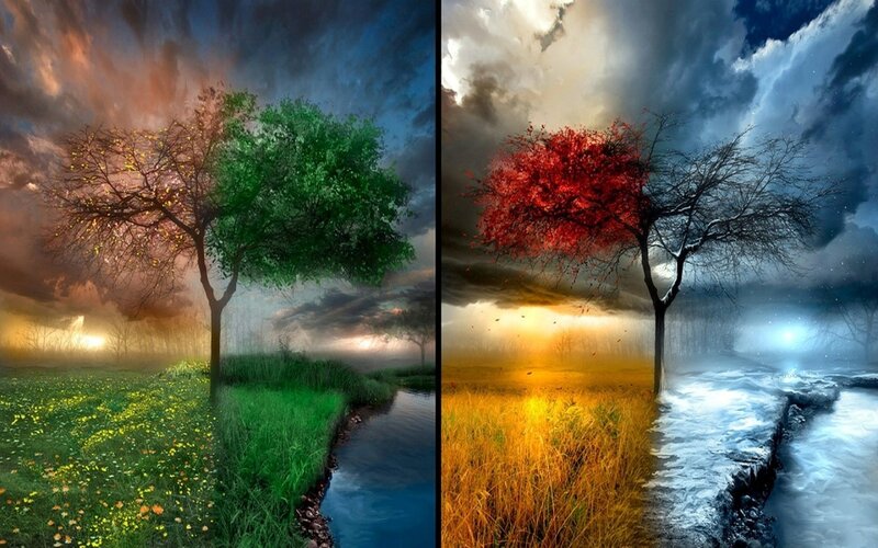 Tree with Four Seasons — Green, Dramatic, Digital Art, River