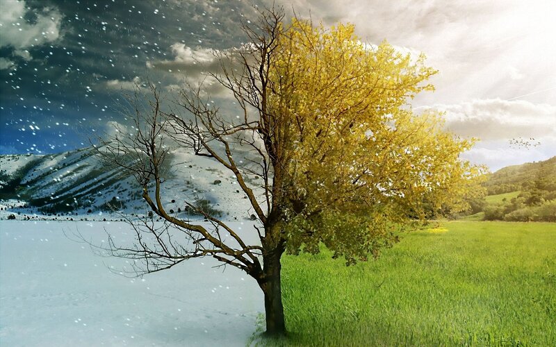 Tree with Four Seasons — Green, Dramatic, Digital Art, Snow