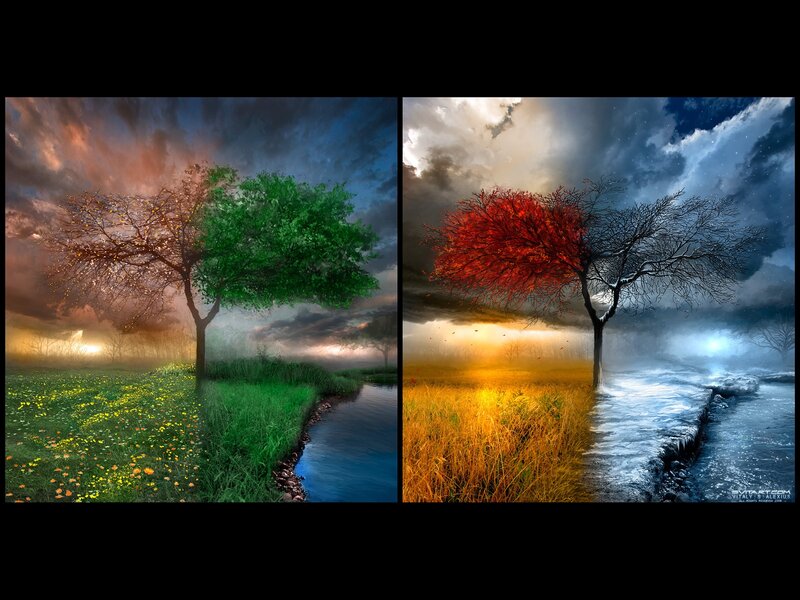 Tree with Four Seasons — Green, Dramatic, Sunset, Digital Art, River, Sky