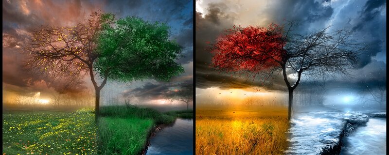 Tree with Four Seasons — Green, Dramatic, Sunset, Digital Art, Sky