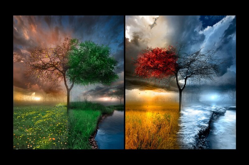 Tree with Four Seasons — Green, Dramatic, Sunset, Digital Art