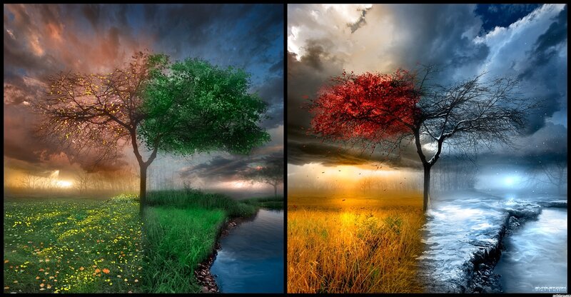 Tree with Four Seasons — Green, Dramatic