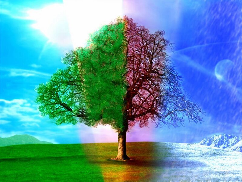 Tree with Four Seasons — Green