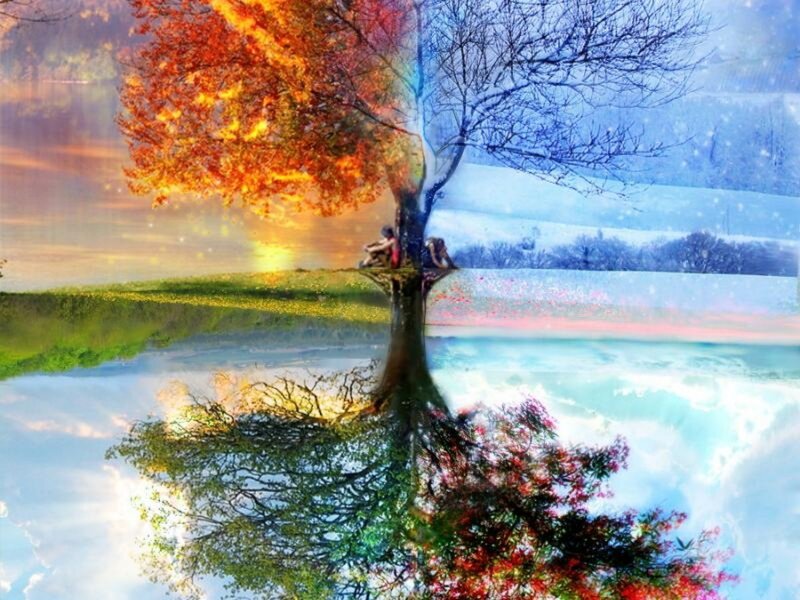 Tree with Four Seasons — Orange